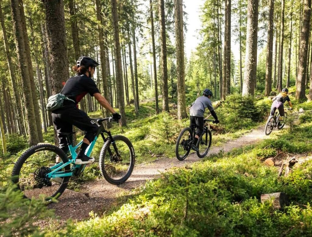 Vista del Bikepark Leogangç. De los mejores Bikeparks en Austria.