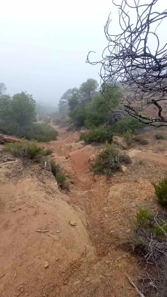 Trail Choto 1: rutas MTB Caspe