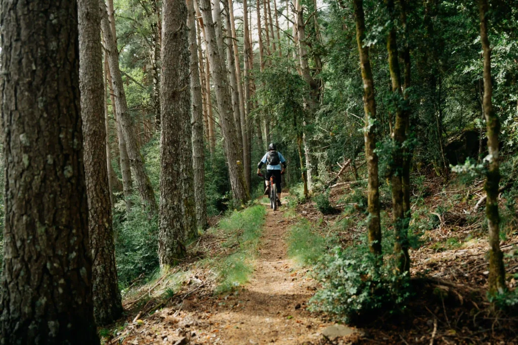 Bielsa Trocs, La Felquera
Ruta Comodoto en MTB